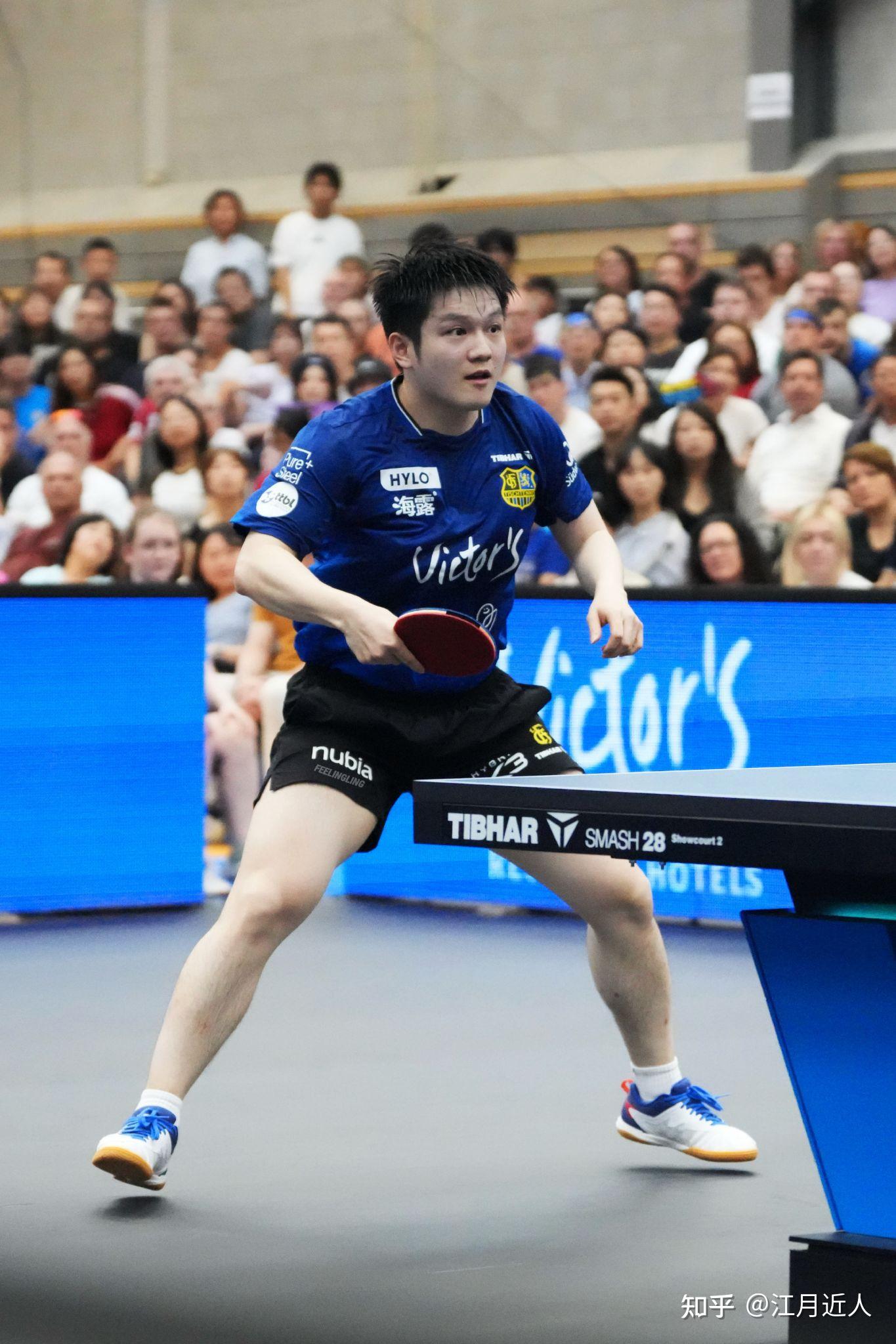 日本乒乓球队轻取德国乒乓球队，樊振东绝境逆转的简单介绍