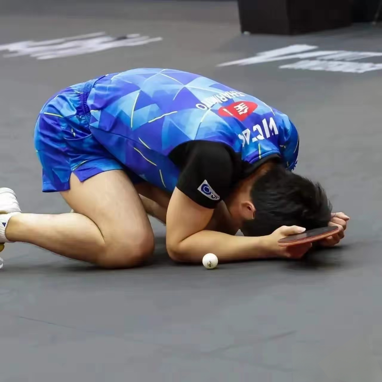 中国乒乓球队翻盘奥地利乒乓球队,张本智和爆发神勇 中国乒乓球队翻盘奥地利乒乓球队,张本智和爆发神勇