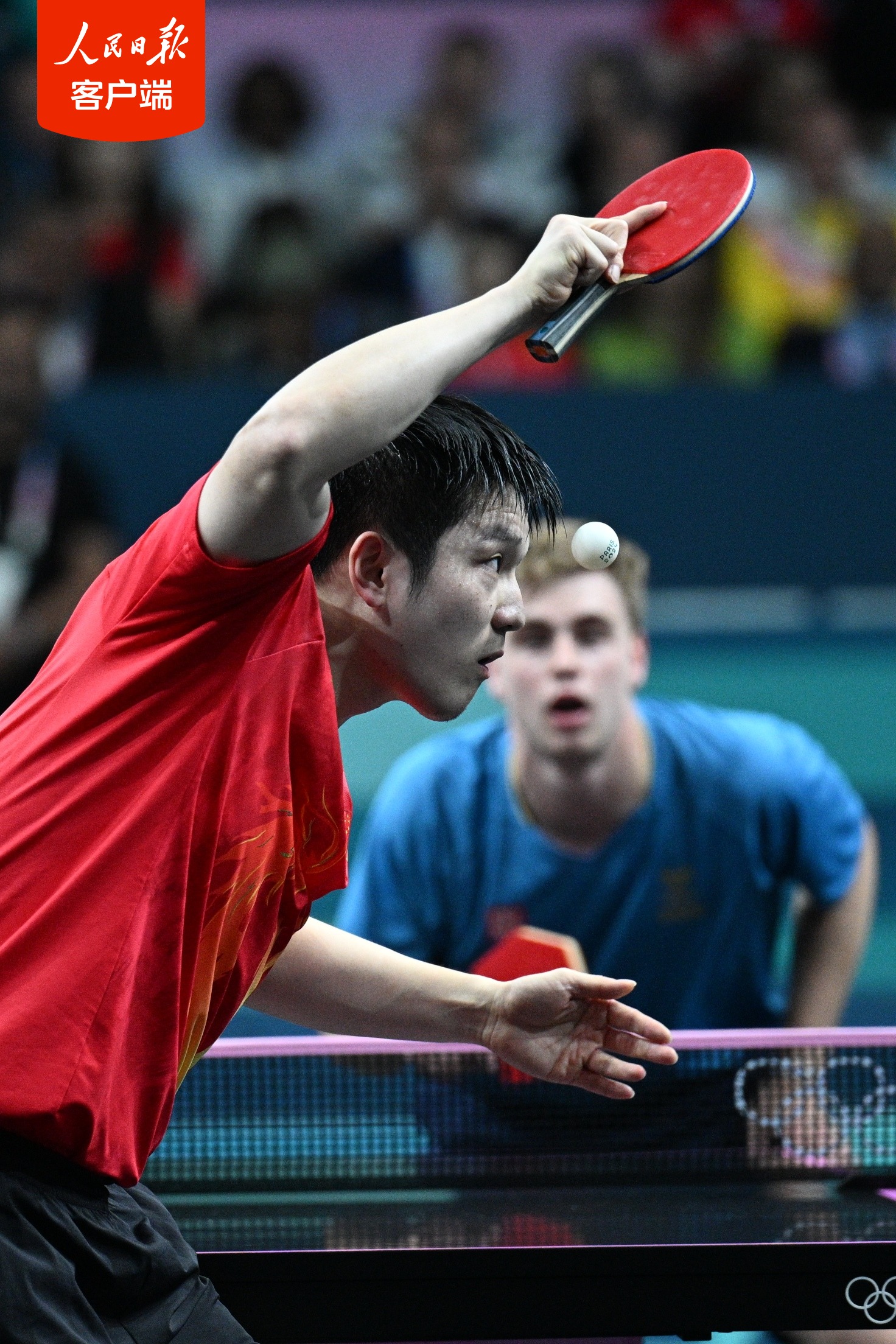 包含中国乒乓球队强势波兰乒乓球队，樊振东高光表现的词条
