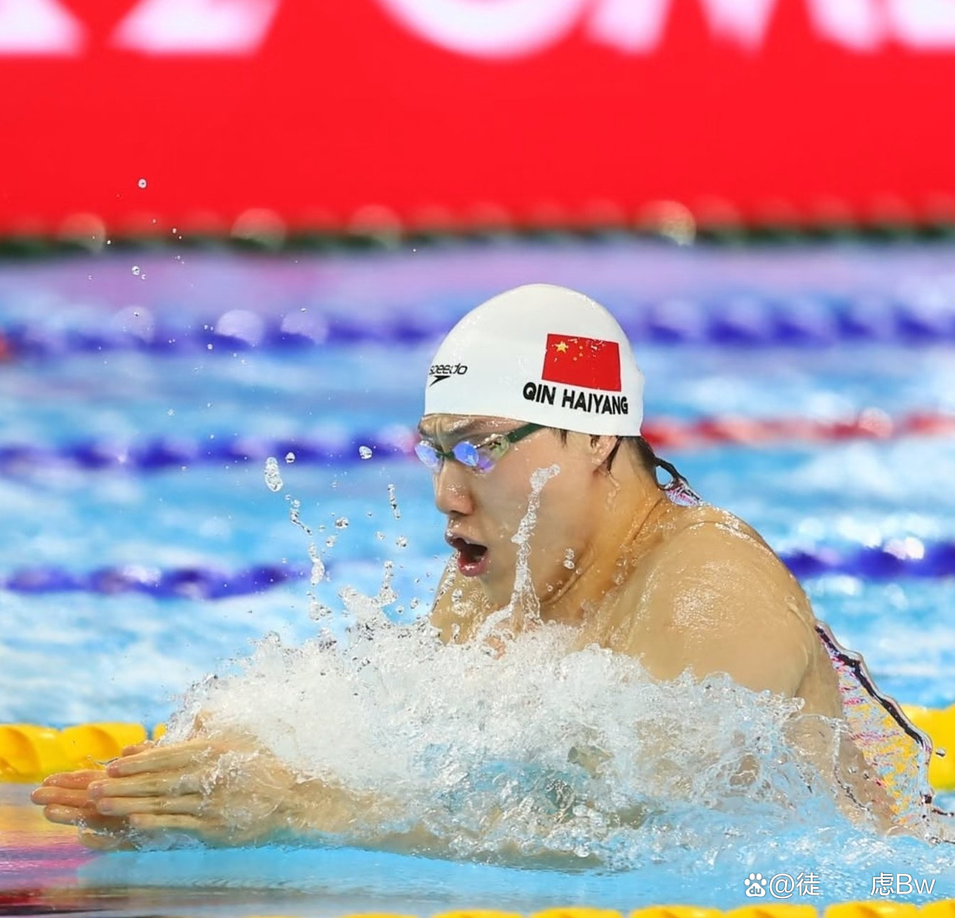 游泳总决赛即将打响，冠军归属成谜的简单介绍