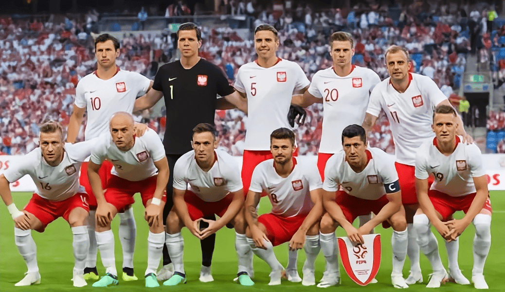 葡萄牙队力克日本队,奥恰洛夫带队取胜 葡萄牙队力克日本队,奥恰洛夫带队取胜