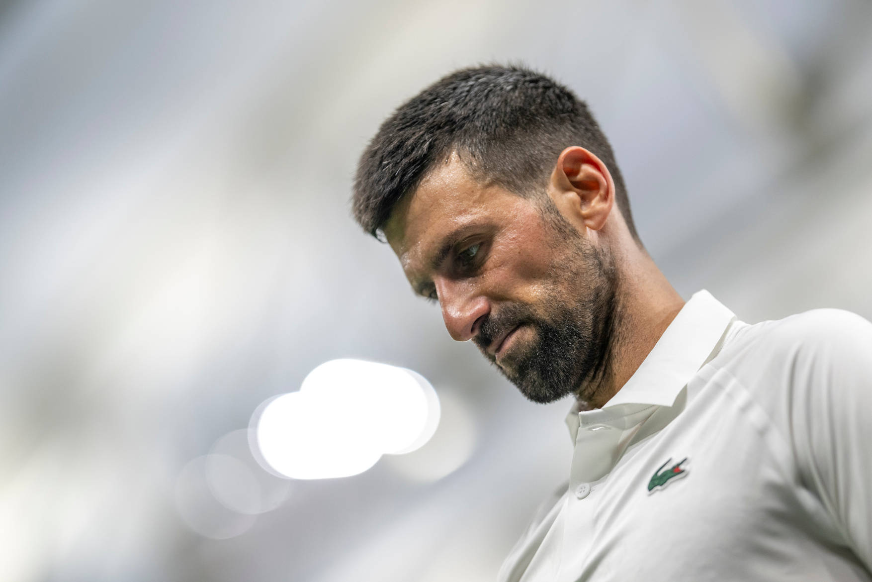 拉沃尔杯碾压蒙特卡洛大师赛，德约科维奇刷新纪录