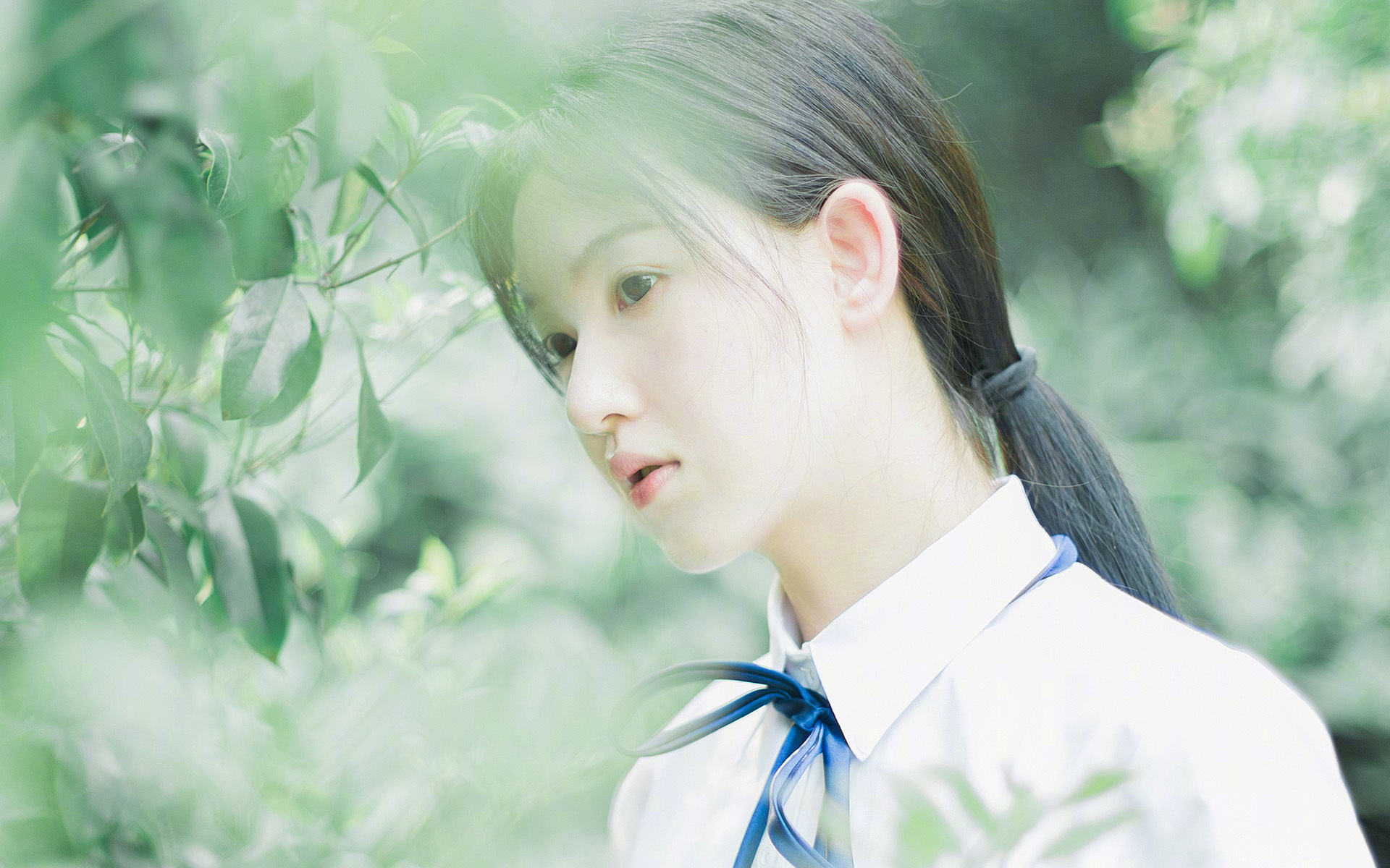 赛道风云录，红色风暴席卷银箭失速，诺里斯孤影改写百年史册