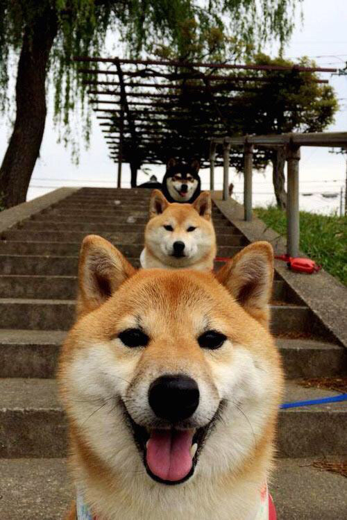 末节之王！莫兰特狂揽39+12率骑士力克76人，关键上篮锁定胜局