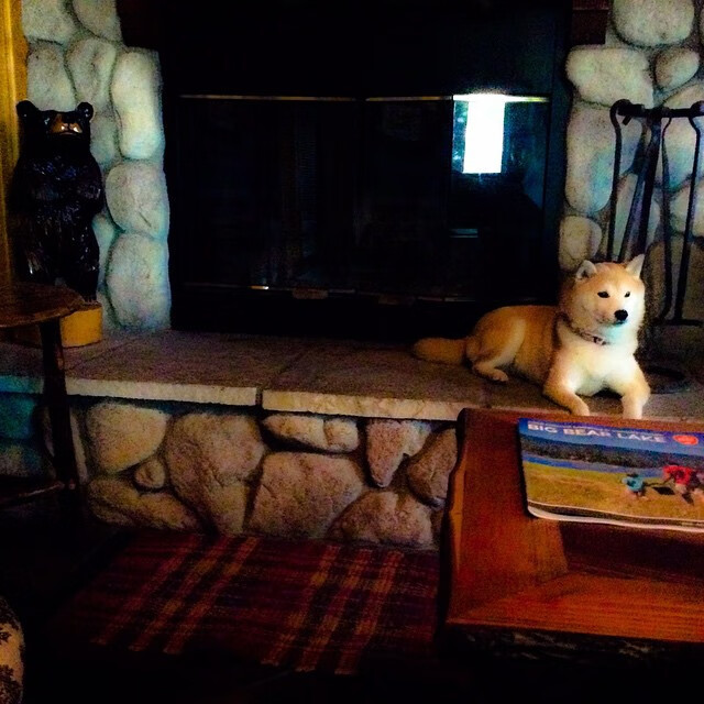 当蓝色遇上蓝白间条衫，佩德里的黄金左脚颠覆了传控神教