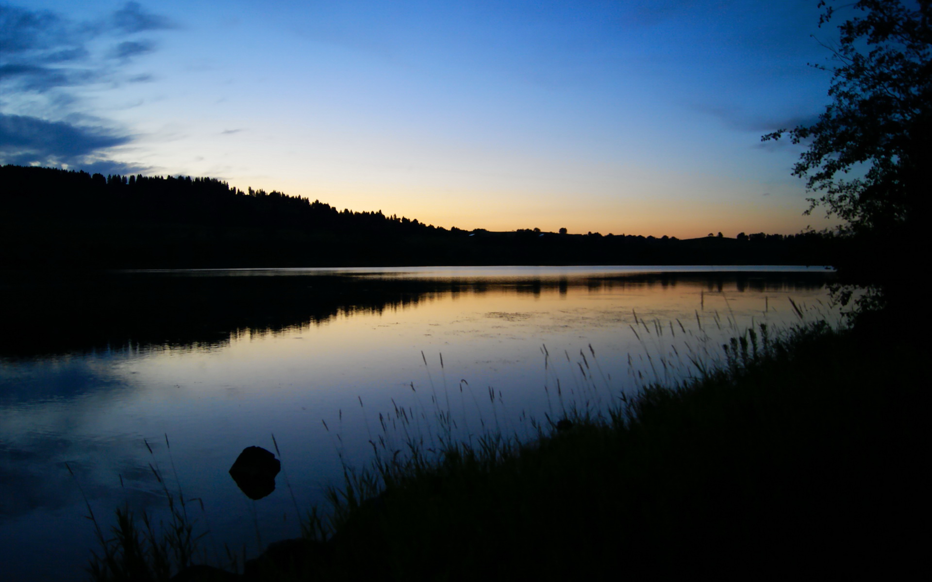 血战天山,当撕裂之熊遇上沉默的君王