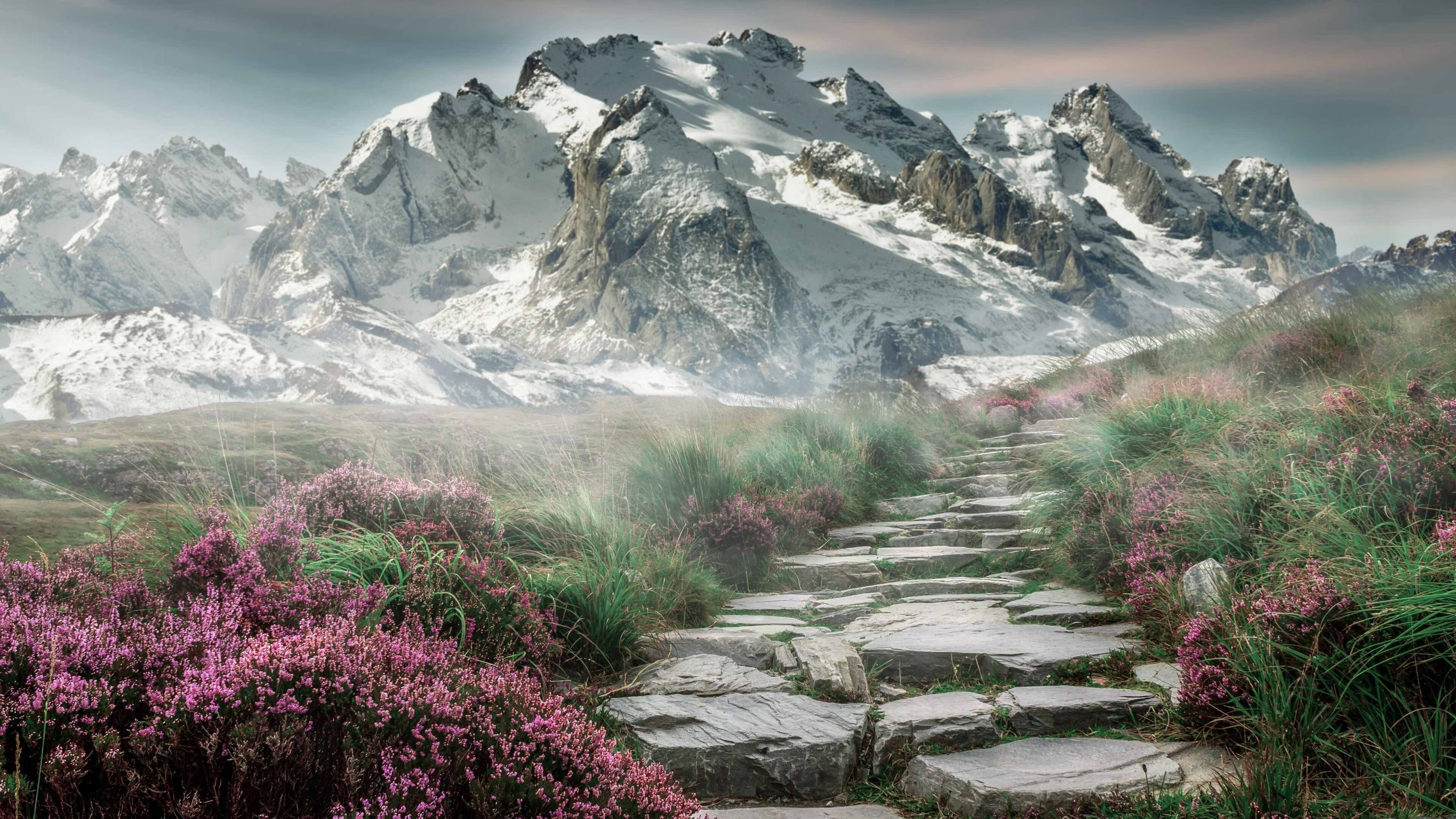 唯一变量，当塞内加尔的鼓点遇见拉齐奥的蓝调，孙兴慜踩下世界的节拍器