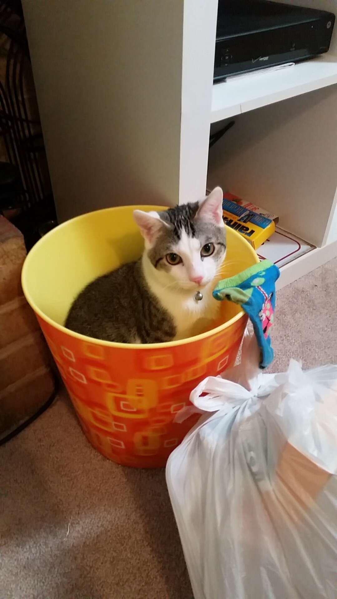 赛场与都市的双重奏,当NBA总决赛精神照见巴黎的全球影响力