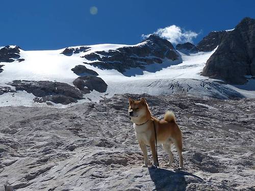 戴表时刻降临密尔沃基!利拉德导演15-2高潮,冷血带走国王