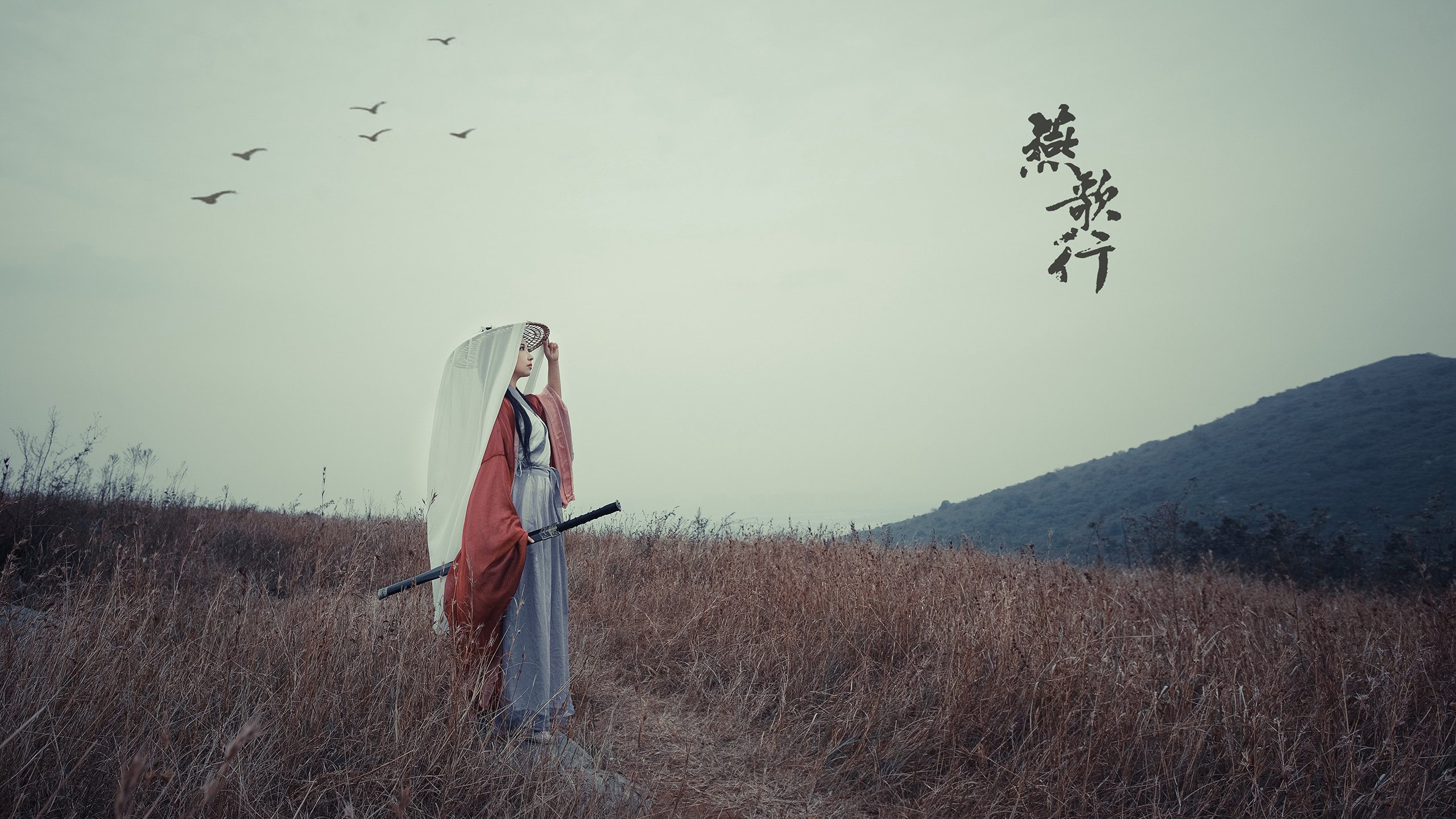 终局之王,加维在足球场上的西决舞台,见证土耳其全面压制荷兰的战术革命