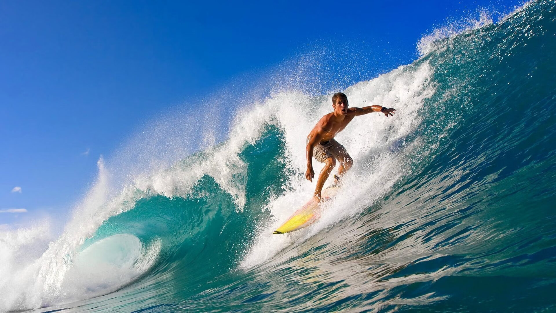 彩虹与狮，一场定义历史的抢七之战