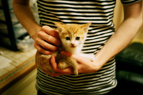 终结悬念的唯一一击，欧文末节17分杀死比赛，老鹰送鹈鹕关键连败