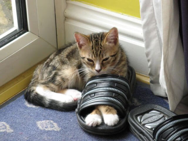 当阿尔卑斯遇见梅阿查，孙兴慜在唯一时空裂缝中扛起的不仅仅是热刺