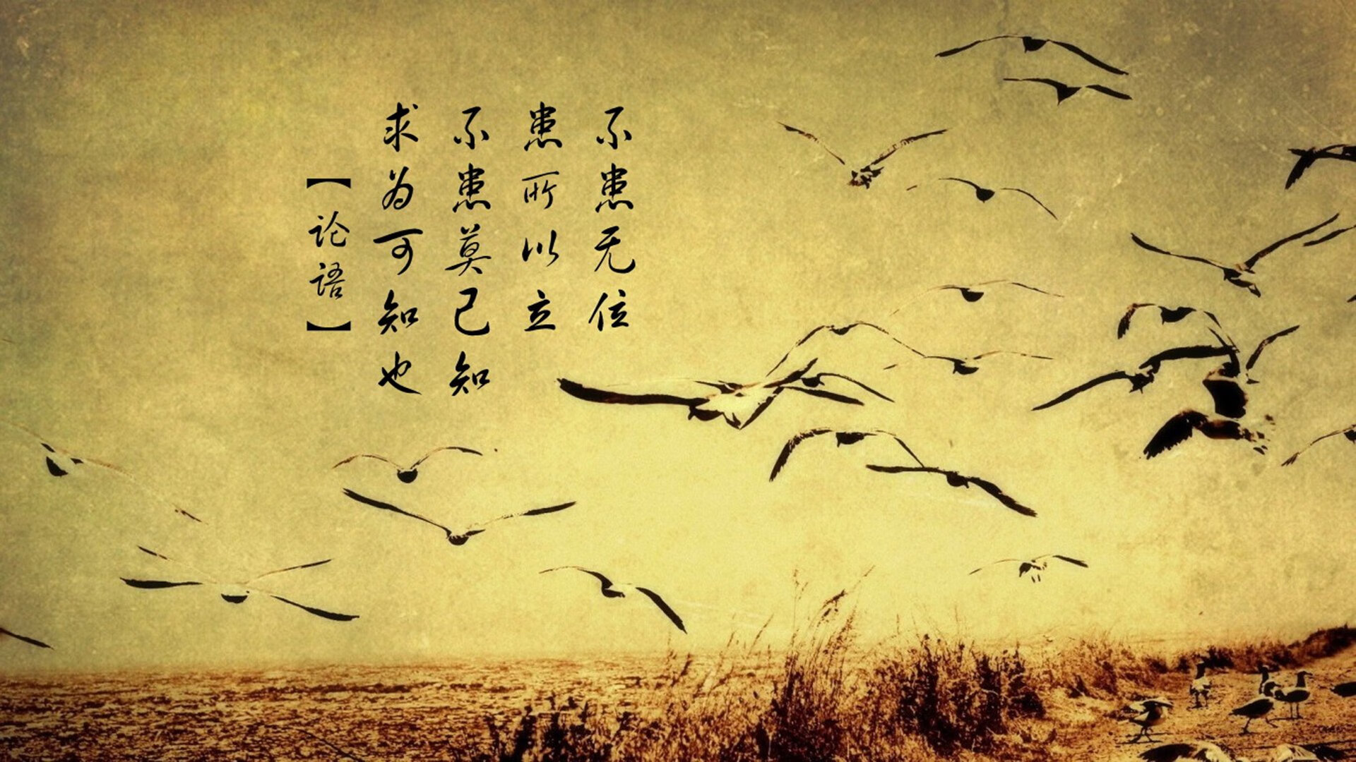 命运的弧线，2026世界杯再现神迹，格列兹曼引领沙特复仇瑞典